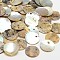 Flat Round Natural Akoya Shell Pendants, Mother of Pearl Shell Pendants, Tan, 15x1mm, Hole: 1~1.5mm