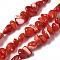 Natural Trochid Shell/Trochus Shell Bead Strands, Nuggets Chips, Dyed, FireBrick, 3.5~13x6~12x3~8mm, Hole: 0.9mm, about 50~73pcs/strand, 15.35 inch~15.94 inch(39~40.5cm)