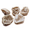 Natural Drusy Agate Mineral Specimen Display Decorations, Raw Agate Cluster, Nuggets, Beige, 30~50mm, 25~30g/pc