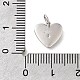 925 стерлингового серебра микро Pave прозрачные кубические циркониевые подвески STER-V001-01P-04-3