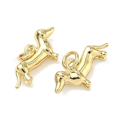 Латунные подвески&nbsp;KK-G555-01G-01