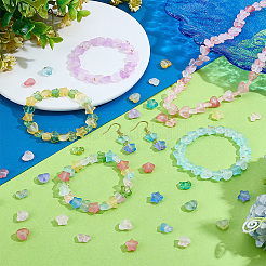 960шт матовые прозрачные акриловые бусины&nbsp;OACR-PH0004-73