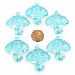 Прозрачные акриловые подвески&nbsp;TACR-T024-01B-946