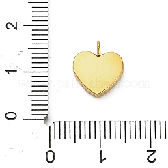 Подвески из эмалированной нержавеющей стали 304&nbsp;STAS-F331-01A-G