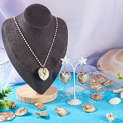 10 шт. Подвески из натуральных ракушек&nbsp;PALLOY-TAC0204