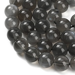 Натуральный черный лунный камень бисер пряди G-L631-A05-10mm