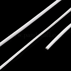 Шнур из искусственной кожи&nbsp;AJEW-R005-B01-12