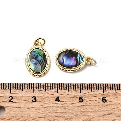 Овальные подвески из эпоксидной смолы и натуральной ракушки пауа KK-K384-20B-G