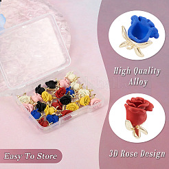 24 шт. 6 цвета окрашенные распылением подвески из сплава&nbsp;FIND-TA0003-29