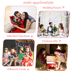 День святого Валентина 15 шт ПВХ подарочные пакеты ABAG-FH0001-05