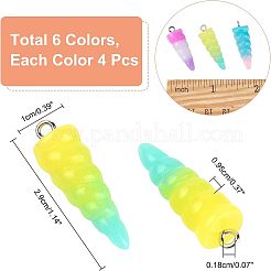 24шт 6 цвета подвески из смолы&nbsp;RESI-NB0001-70