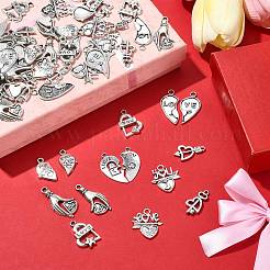 70шт 14 стиля подвески из сплава в тибетском стиле&nbsp;FIND-CJ0001-88