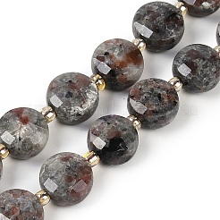 Натуральный флуоресцентный сиенитовый камень (светящийся в ультрафиолетовом свете) бусины нити G-B094-A05-01