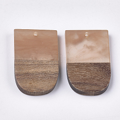 Подвески из смолы и ореха&nbsp;LS-RESI-S358-34B