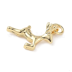 Латунь подвески&nbsp;ZIRC-I356-04G-04