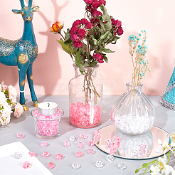 300шт 3 цвета прозрачные акриловые бусины&nbsp;OACR-SC0001-47A