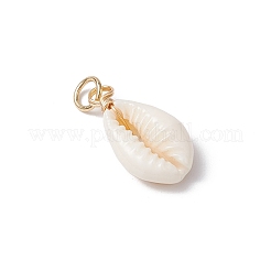 Подвески из натуральной каури&nbsp;PALLOY-JF03712-01