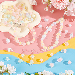 Прозрачные акриловые бусины TACR-PH0001-70