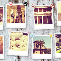 40 шт. 8-х цветные резиновые кнопки для рисования с отпечатками лап&nbsp;AJEW-DR00037