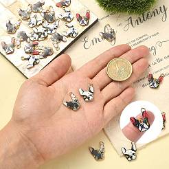 30шт 3 цвета подвески из цинкового сплава с эмалью&nbsp;ENAM-CJ0001-73