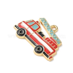 Подвески из эмали и сплава&nbsp;FIND-C074-01A