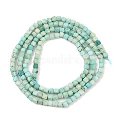 Бусы натуральная перуанская бирюза (яшма)&nbsp;G-G345-A01-2.5mm