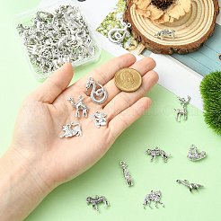 60шт 12 стиля подвески из сплава в тибетском стиле&nbsp;TIBE-CJ0001-36