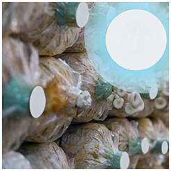 150 шт. 3-х кольцевая количественная фильтровальная бумага AJEW-GF0007-73