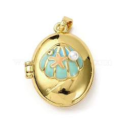 Латунь эмаль Locket подвески&nbsp;X-KK-F912-06G