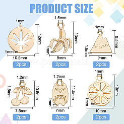 12шт 6 стиля латунные подвески&nbsp;KK-BC0010-13