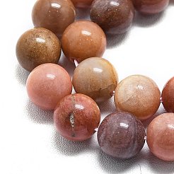 Естественный окаменелого дерева круглые бусины пряди G-D356-C01-12mm