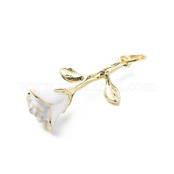 Подвески из эмали и сплава PALLOY-JF01889-02