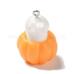 Подвески из смолы CRES-D009-01H