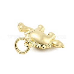 Латунные подвески KK-H206-07G