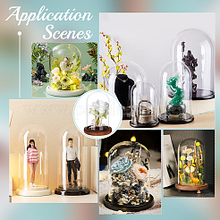 Стеклянный купол DIY-WH0110-22