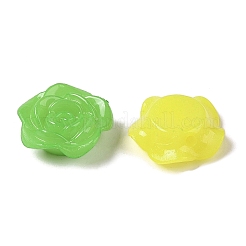 Акриловые бусины OACR-H119-02