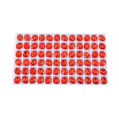 K9 стеклянные каноши MRMJ-N029-09-02