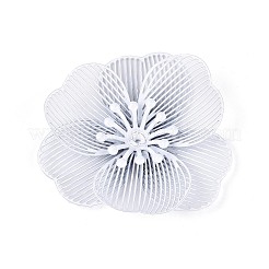 Окрашенные распылением железные колпачки&nbsp;IFIN-N013-05D