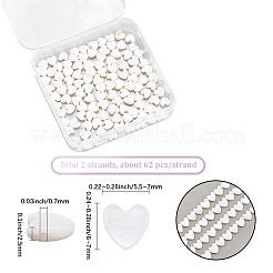 2 нить бусин из натуральных пресноводных ракушек SHEL-SC0001-85D