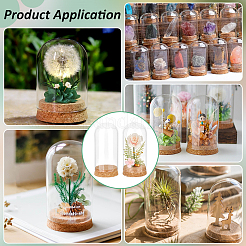 Стеклянные крышки купола cloche AJEW-BC0008-81