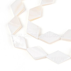 Нити бусин из натуральных пресноводных ракушек SHEL-T020-13H