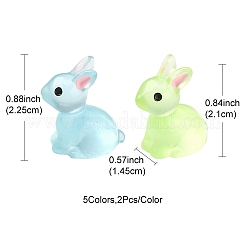 10шт 5 цвета светящаяся смола украшение дисплея DJEW-YW0001-02