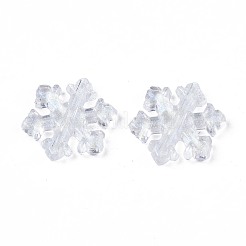 Прозрачные акриловые бусины TACR-FH0001-14
