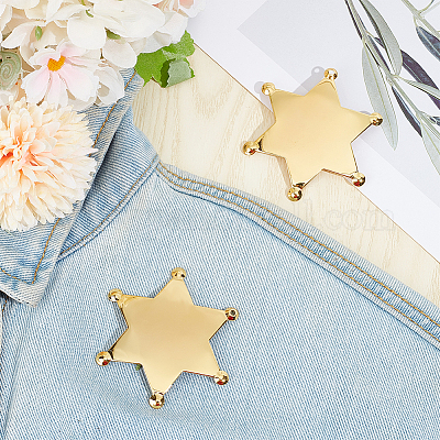 2 шт. заготовка для броши из сплава FIND-BC0013-77G-1