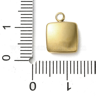 Подвески из акрила из нержавеющей стали 304 STAS-M091-02D-G-1