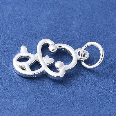 925 подвеска в виде китайского зодиака из стерлингового серебра STER-P066-02S-06-1