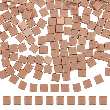 240 шт. 2-отверстия SEED-SC0001-12G-1