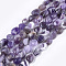 Natural Amethyst Beads Strands, Nuggets, 8~19x8~12x4~8mm, Hole: 0.8mm, about 37pcs/strand, 15.9 inch