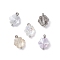 5Pcs 5 Colors Electroplate Glass Snowflake Charms, with Brass Loops, Mixed Color, Platinum, 13.5x10x5.5mm, Hole: 2mm, 1pc/color