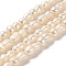 Natural Cultured Freshwater Pearl Beads Strands, Peanut, Old Lace, 9~16x6~7mm, Hole: 0.5mm, about 38~40pcs/strand, 15.94~16.34''(40.5~41.5cm)